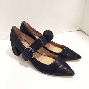 Linea Paolo Black pointed toe chunky heels Size 10.5